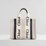 Chloe Women Small Woody Tote Bag in Cotton Canvas and Shiny Calfskin with Woody Ribbo-Silver