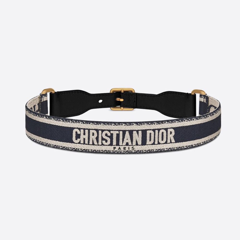 celine dior belt