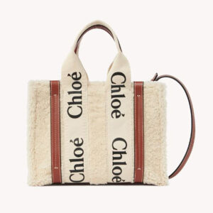 Chloe Women Small Woody Tote Bag with Strap