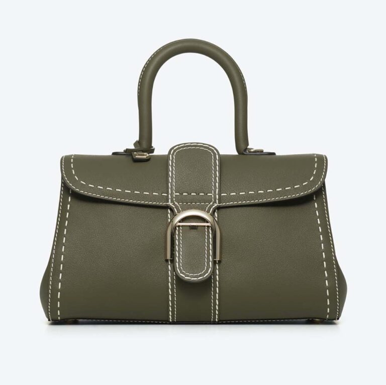 Delvaux Women Brillant East/West Mini Surpique in Rodeo Calf