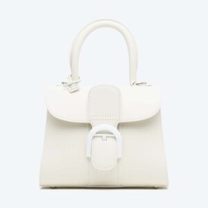 Delvaux Women Brillant Mini in Box Calf