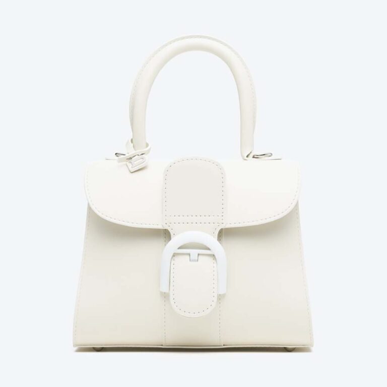 Delvaux Women Brillant Mini in Box Calf