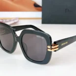 Dior Unisex CDior S1I Black Square Sunglasses