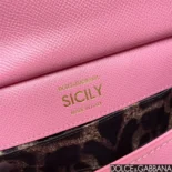 Dolce Gabbana D&G Women Small Sicily Handbag-Pink BB7116A100180424