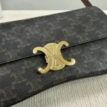 Celine Women Medium Celine Lola Bag in Triomphe Canvas and Calfskin