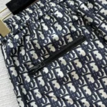 Dior Women Flared Pants Blue and Ecru Technical Taffeta Jacquard with Dior Oblique Motif