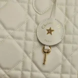 Dior Women Groove 25 Bag Dusty Ivory Macrocannage Calfskin M1365UBOL