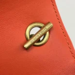 Saint Laurent YSL Women Loulou Mini in Lambskin-Orange 821749AAEAX1000