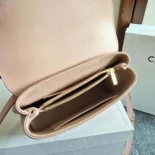 Celine Women Teen Nino Bag in Smooth Satinated Calfskin-Pink 118113GG2